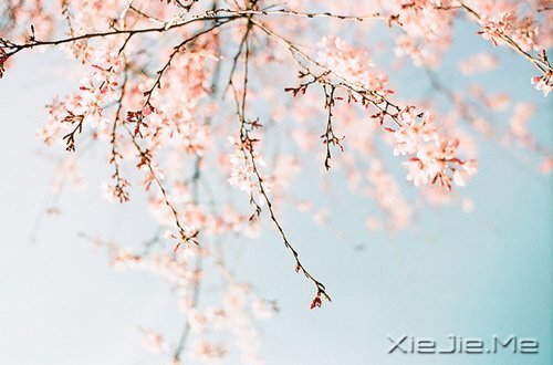 不争,也有属于你的世界 (6)