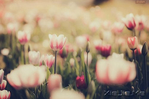 Ҫ�����Լ�����Ҫ�����Լ� (8)