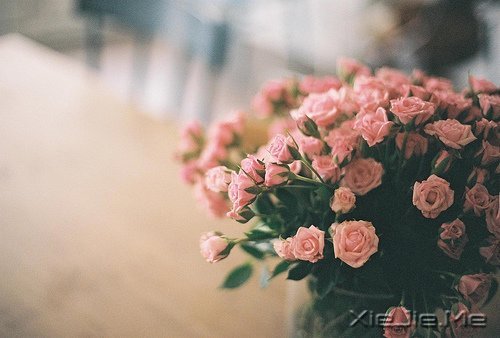 ʱ��������ֻ������һȥ���� (2)