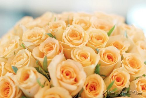 ��һ�������Լ��ĵط����������ж����������� (7)