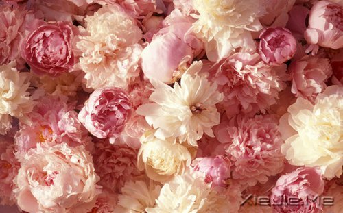 �簲�����һ�����ɣ�ȥ�������� (4)