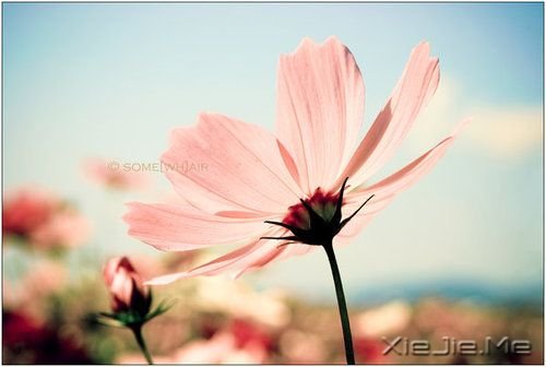 �����������ʱû�м���������Ǿ�����ͷ (1)