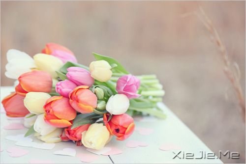 �簲�����ϣ������Զ�����ҵ����Լ�΢Ц������ (1)