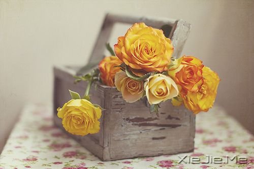 ��������ˣ���������һ��ӵ�� (6)