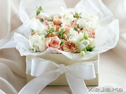 ������¼��������Թ���磬����ı��Լ� (10)