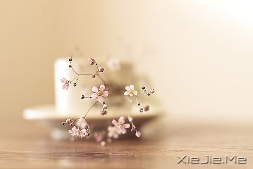 励志文章:坚持不懈,直到成功 (2)